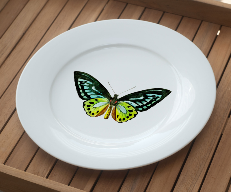 White plate with a colorful butterfly illustration