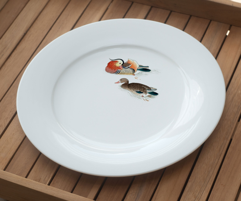 White plate with a vintage-style illustration of two ducks swimming