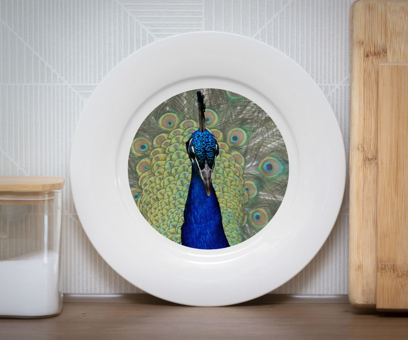 White plate with a vintage-style illustration of two ducks swimming