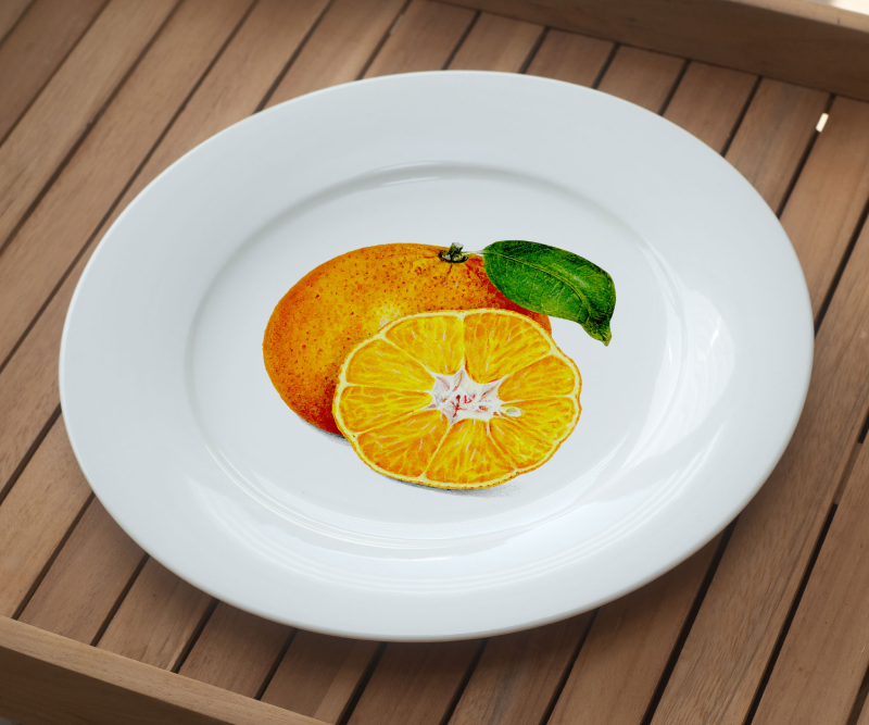 White plate with a watercolor illustration of an orange and an orange slice